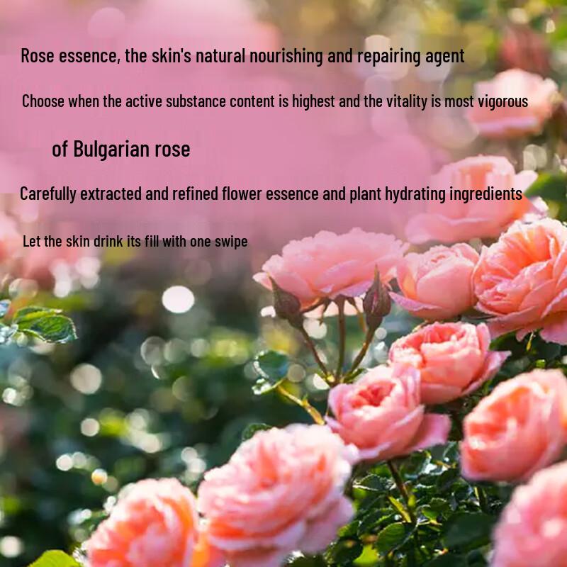 Kustie Rose Petal Shower Gel & Body Lotion Set