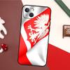 Poland Polish Flag Phone Case For iPhone 16 15 14 11 12 Mini 13 Pro Max X XR XS Max Plus Soft Cover Shell
