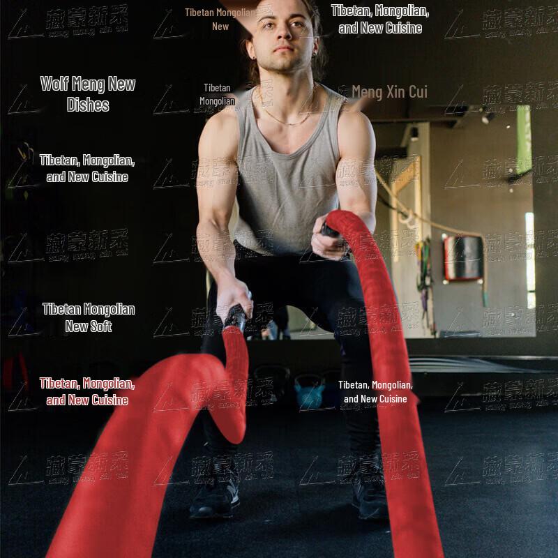 Fitness Battle Ropes & Anchor