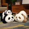 Cartoon Soft Panda Doll Plush Toy Zoo Black And White Giant Panda Doll Girl Rag Doll