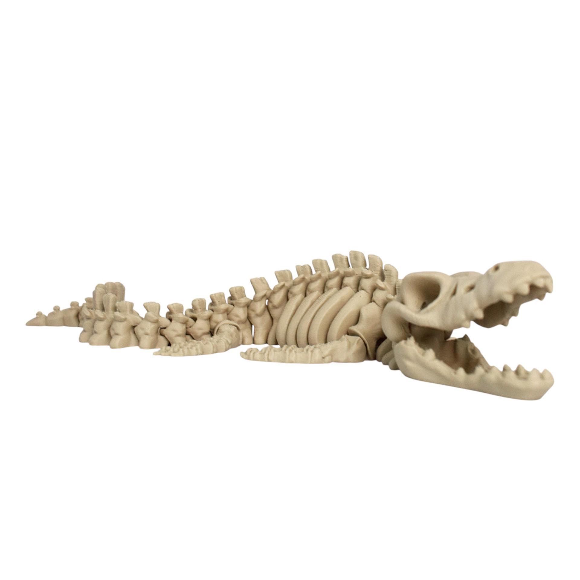 

Mosasaurus Skeleton 3D Decorative Ornament for Landscaping Bone Color
