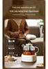 Glass Electric Kettle Gift Set for Floral Tea - Perfect Company Souvenir
