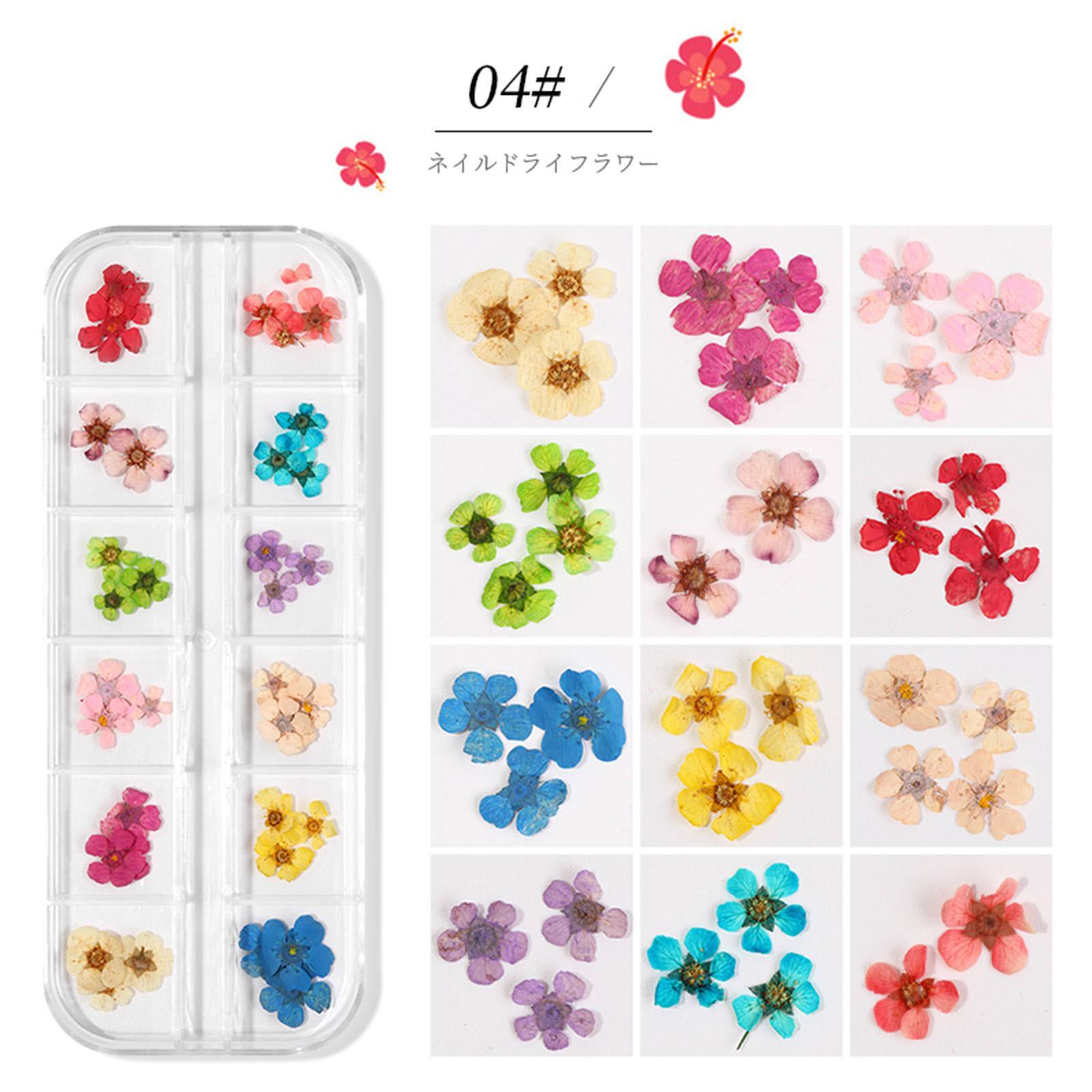 

Сушеный цветок, японский набор для ногтей, бессмертный 3D кружевной цветок, нарцисс