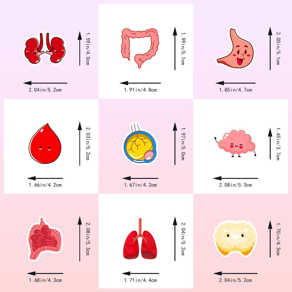 50 Cute Human Organ Stickers To Learn Cartoon Human Organ Children'S Early Education Sticker Ideas