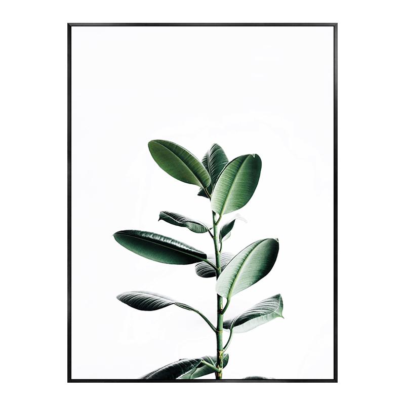 

Скандинавские тропические растения, зеленые листья, монстера, пальма, плакат, фотографии, декоративные картины, холст, настенное искусство, современный домашний декор 30x40cm No Framed