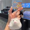Bean Bag Fluffy Mouse Keychain Bag Charm Rat Plush Doll Soft Fabric Hamster Pendant  Kids Toy
