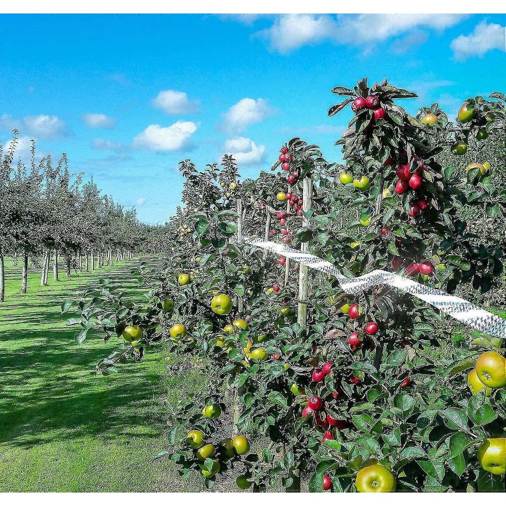 Bird Repellent Tape, Set Of 3 Tapes X 50m X 4.8cm - Scarecrow Bird Repellent - To Repel Crow Pigeons And More, 150m Tw