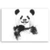 Canvas Print Black and White Panda