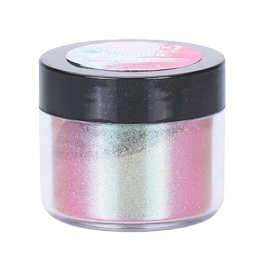 5g Excellent Wide Application Portable Manicure Powder Makeup Nail Art Pigment Glitter for Salon