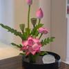 1/3Pcs Transparent Arrangement Base Waterproof Flower Fixing Bracket  for Vases Floral Design