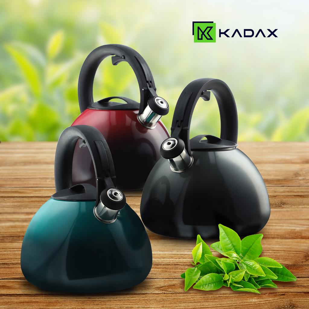 KADAX Kettle With Whistle Gas Induction Steel 2.6L