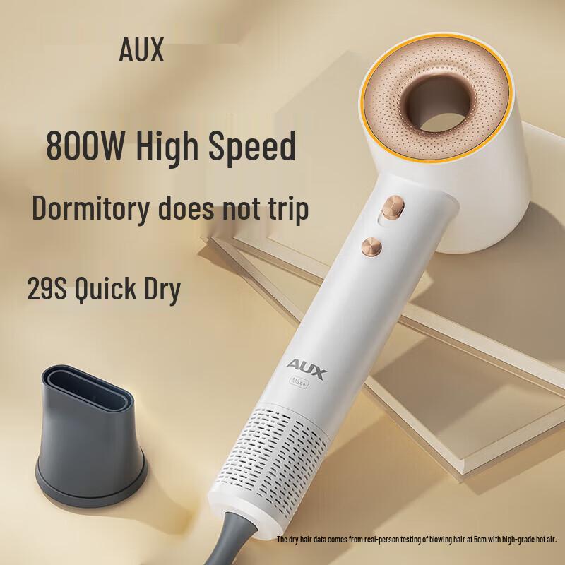 AUX High-Speed Negative Ion Hair Dryer CN plug (adapter included)