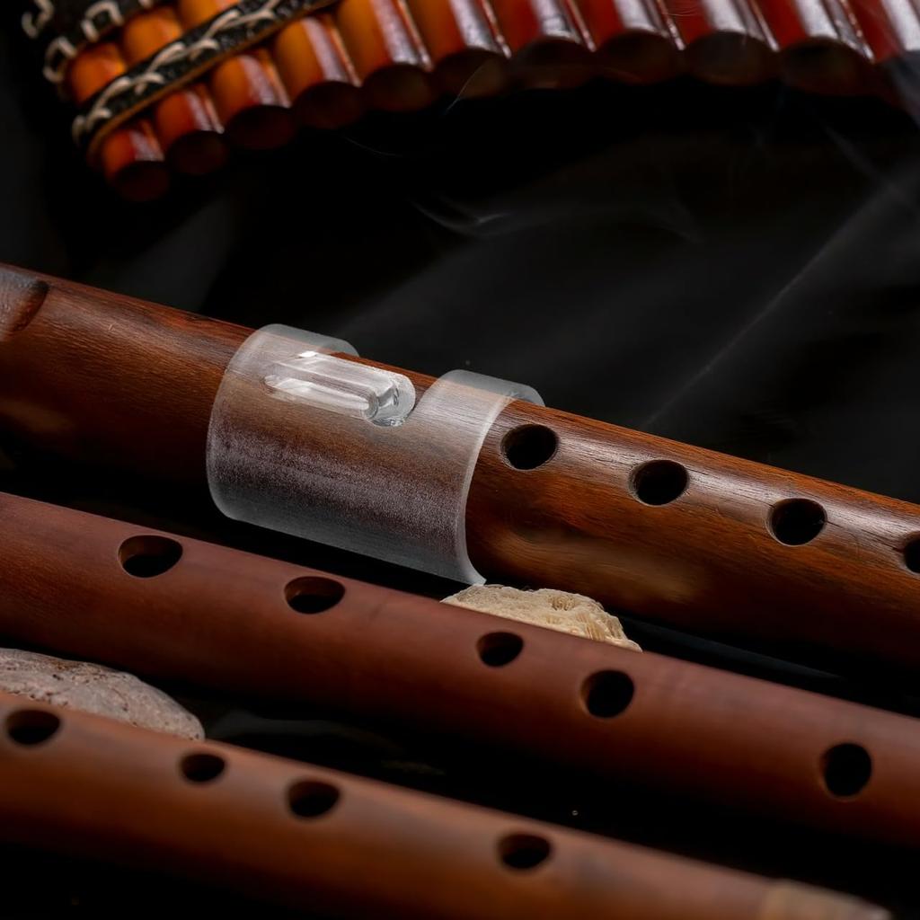 NOLITOY Flauta um Auxílio de Prática para Iniciantes e Feito de Bocal Transparente Leve e Fácil de Usar, Estudantes, Plástico,