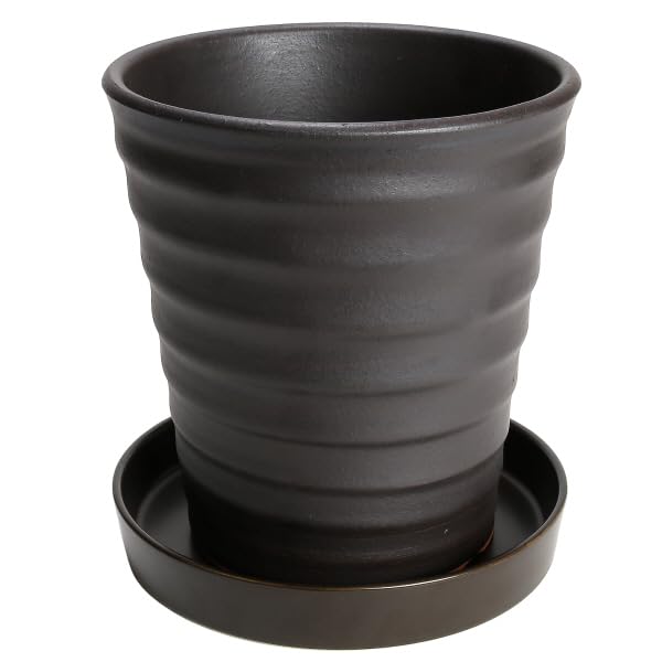 

KANEYOSHI Flower Road Коричневый 7 Цветочный горшок со стильным горшком Микава Яки с поддоном №. Блюдо, Отверстие, Керамика, Бисквит, Коричневый, Нет. 7,