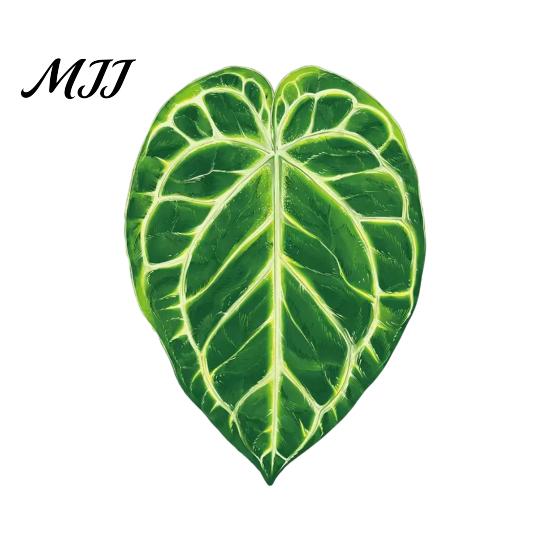 Plant Home Decor 3D Tropical Plants Refrigerator Magnet, Acrylic Green Decorative Fridge Metal Surface Magnet Memo Notes Photo Holder for Kitchen