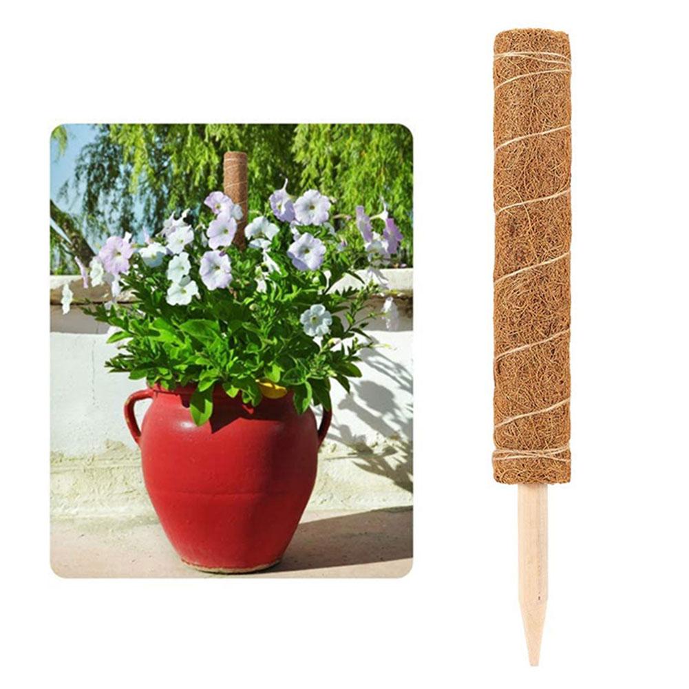 Coir Moss Pole Plant Support Coconut Shell Sturdy Pointed Bottom Coir Totem Pole