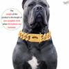 Gold Dog Collar Stainless Steel Metal Pet Choker Silver 19mm Wide Lead for Medium Large Dogs French Bulldog Labrador Retriever