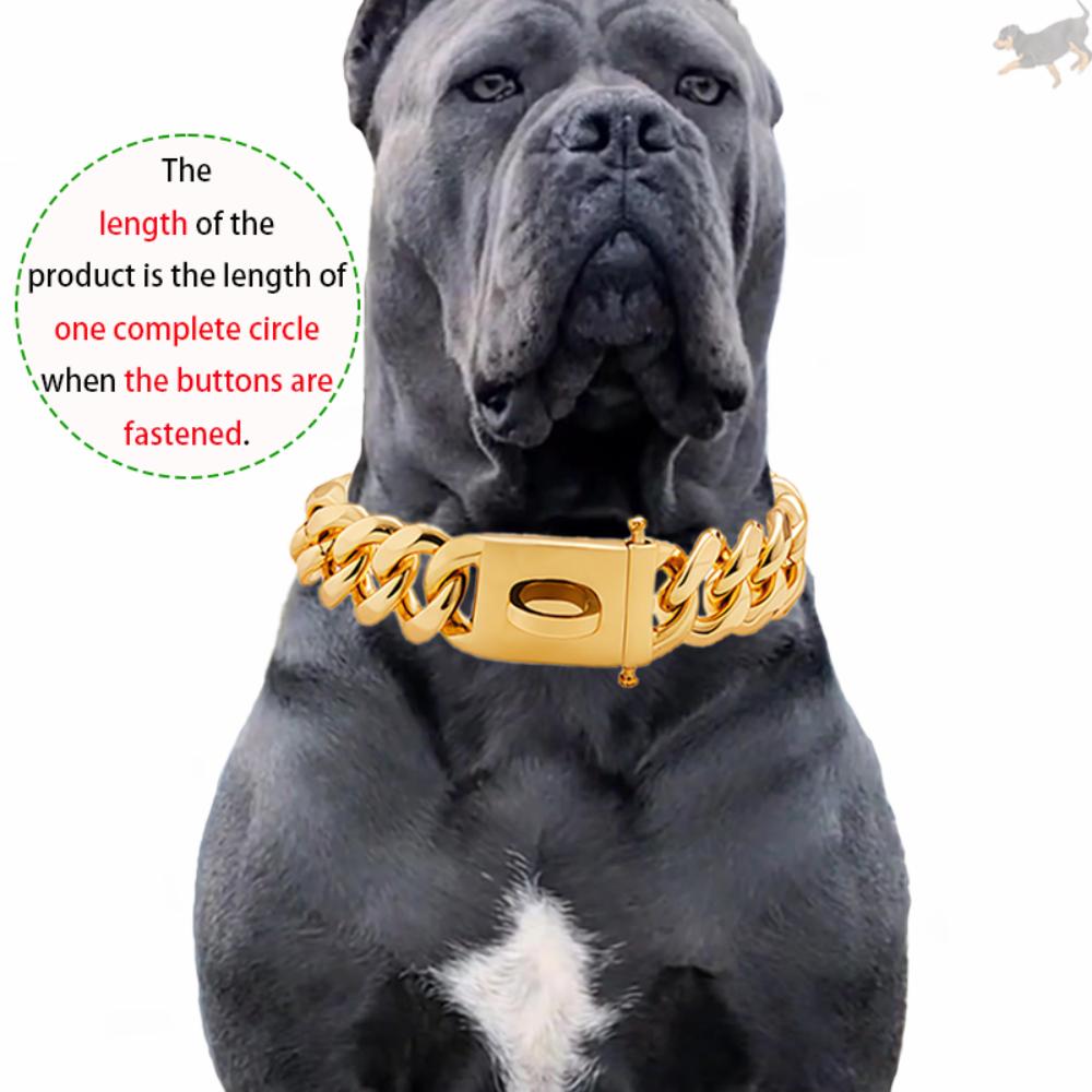 Gold Dog Collar Stainless Steel Metal Pet Choker Silver 19mm Wide Lead for Medium Large Dogs French Bulldog Labrador Retriever