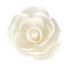 Handmade Fragrance For Home Tongcao Flower Dried Flowers Diffuser Sticks Aromatic Incense