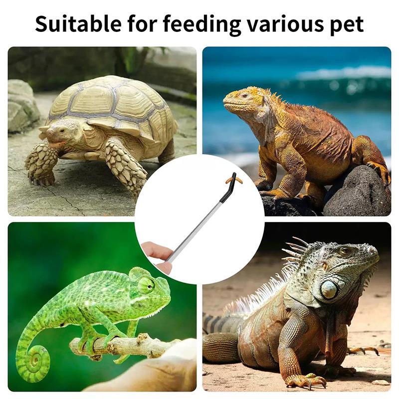 Pet Feeding Accessories: Straight and Curved Stainless Steel Tweezers with Rubber Tips for Aquarium Reptiles