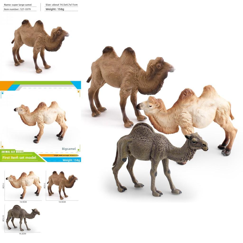 Wildlife Animal Pvc Toy Camel Model For Children Educational Playroom Decor