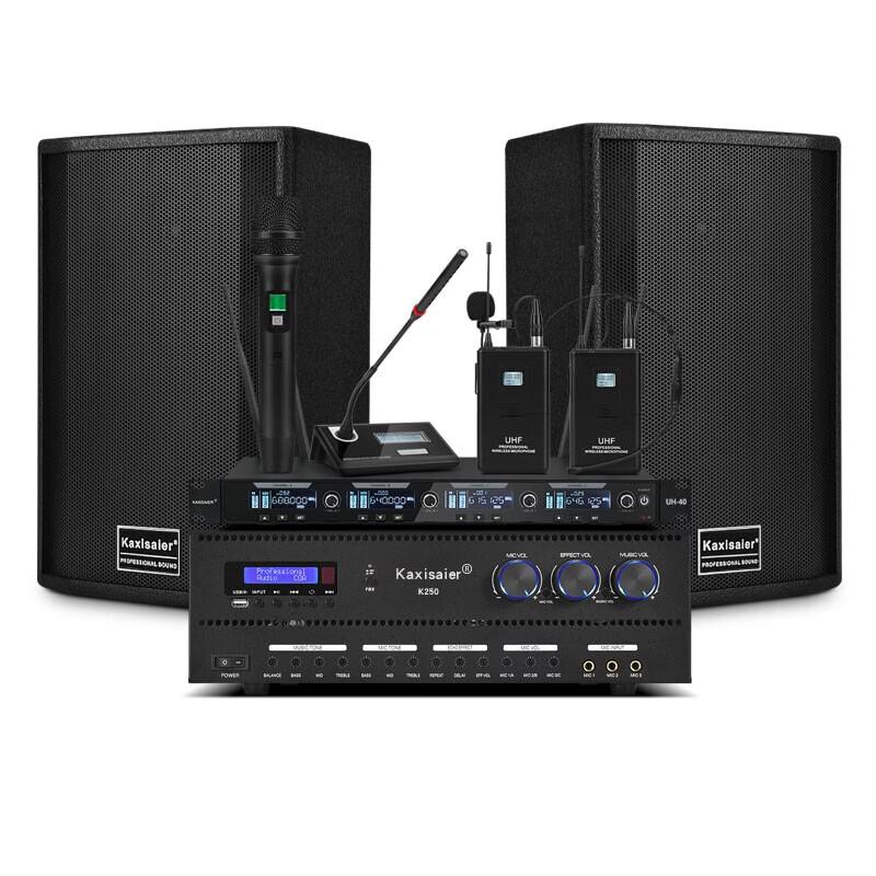KAXISAIER Professional Conference Audio System with Wireless Microphones CN plug (adapter included)