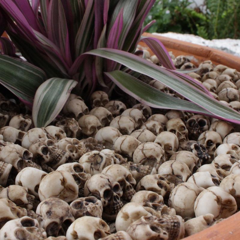 Skull Simulation Medium Set: Creative Flower Pot & Micro Landscape Paving Stone Ornaments.