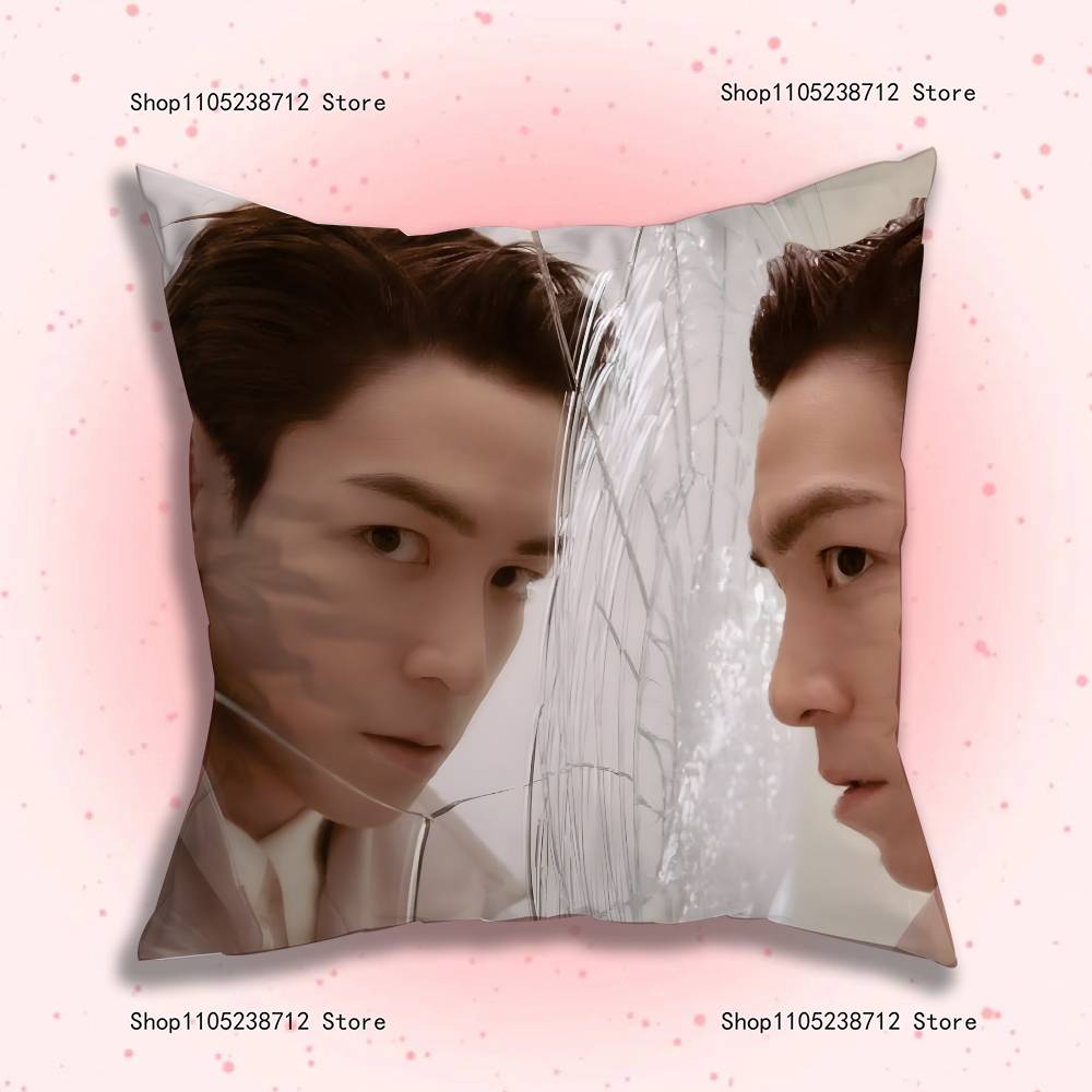 Pop Singer Choi S-Seung Hyuns Anime Pillow Case Anti-Dustmite Pillowcase Invisible Zipper Silky Short Plush Sofa Cushion Cover Peach skin 18*18(CM)-1Pcs