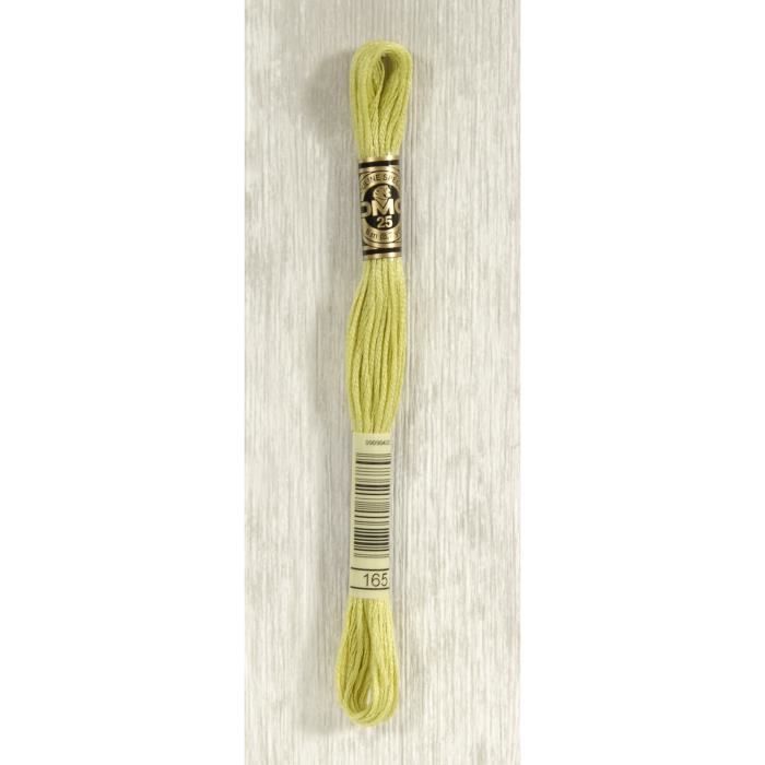 DMC Fil Mouliné 165