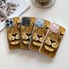 Lion face photo for iPhone17ProMax metallic paint glass mobile phone protective case 17 all-inclusive 15 fine holes