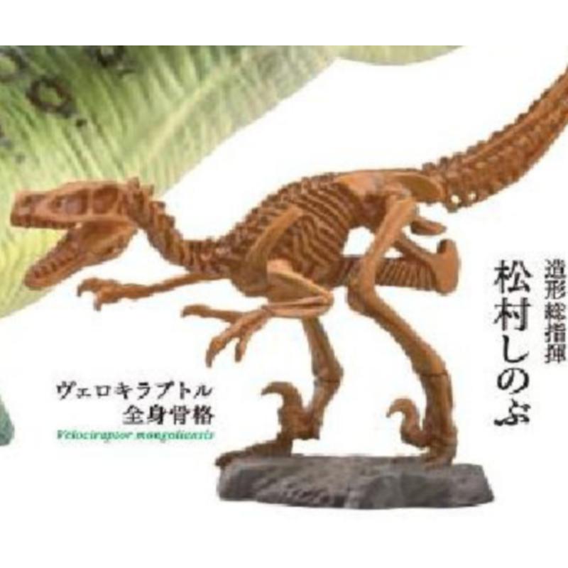 

Japan Dinosaur Skeleton Figure Gashapon White Cretaceous Strongest 3D Collector-Worthy Decor Action Figure Miniature Playthings