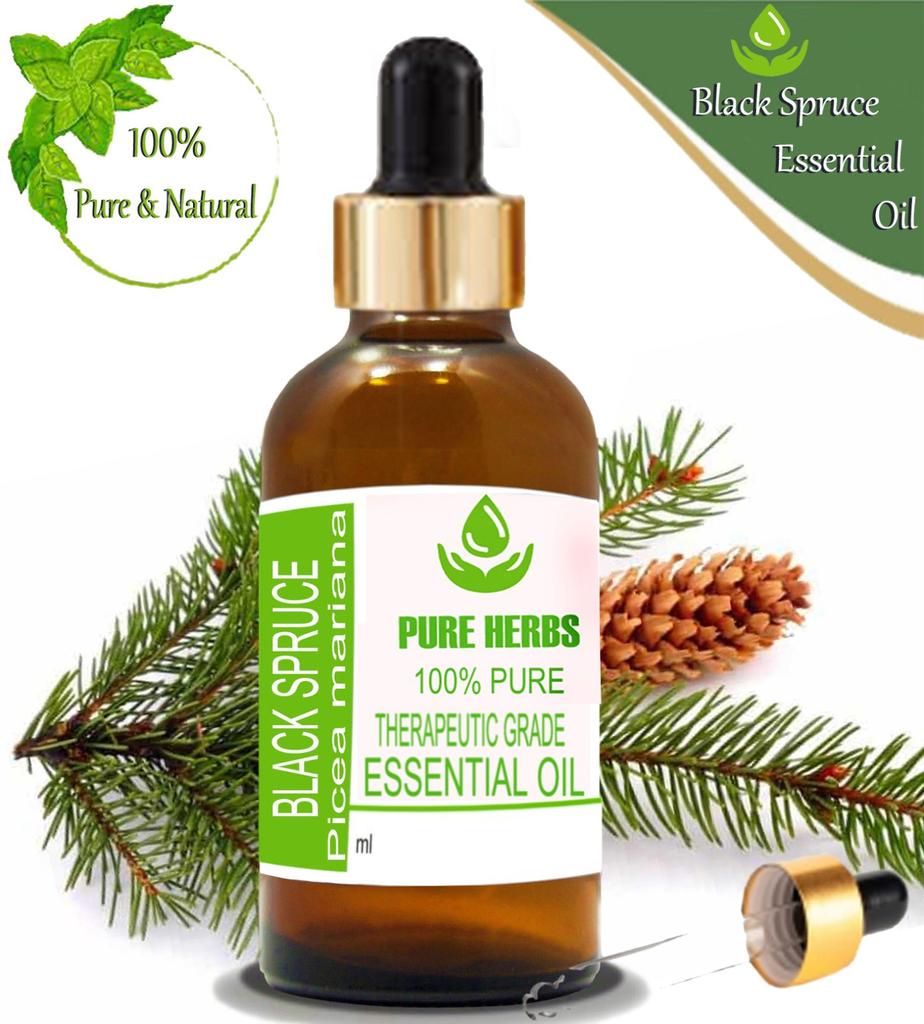 Pure Herbs Black Spruce 100% Pure & Natural Picea Mariana Essential Oil ZA 240