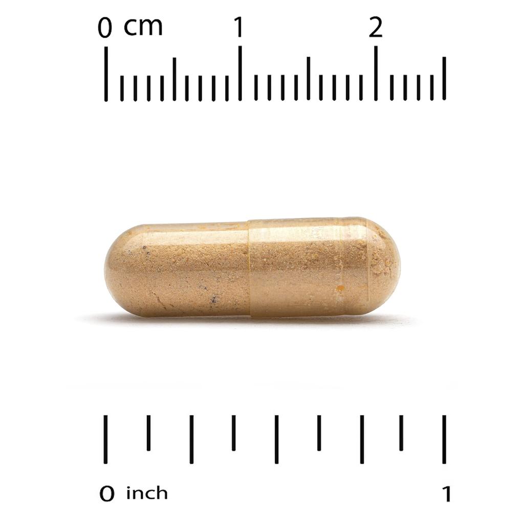 Milk Thistle Plus, with Turmeric Extract and Artichoke Extract, 175 Mg, 120 Veggie Caps