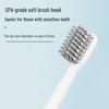 Shangheng SHZH-KQ002 Sonic Electric Toothbrush CN Plug (adapter Included)