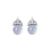 Zhuozhifan S925 Sterling Silver Ice Queen Crystal Diamond Stud Earrings