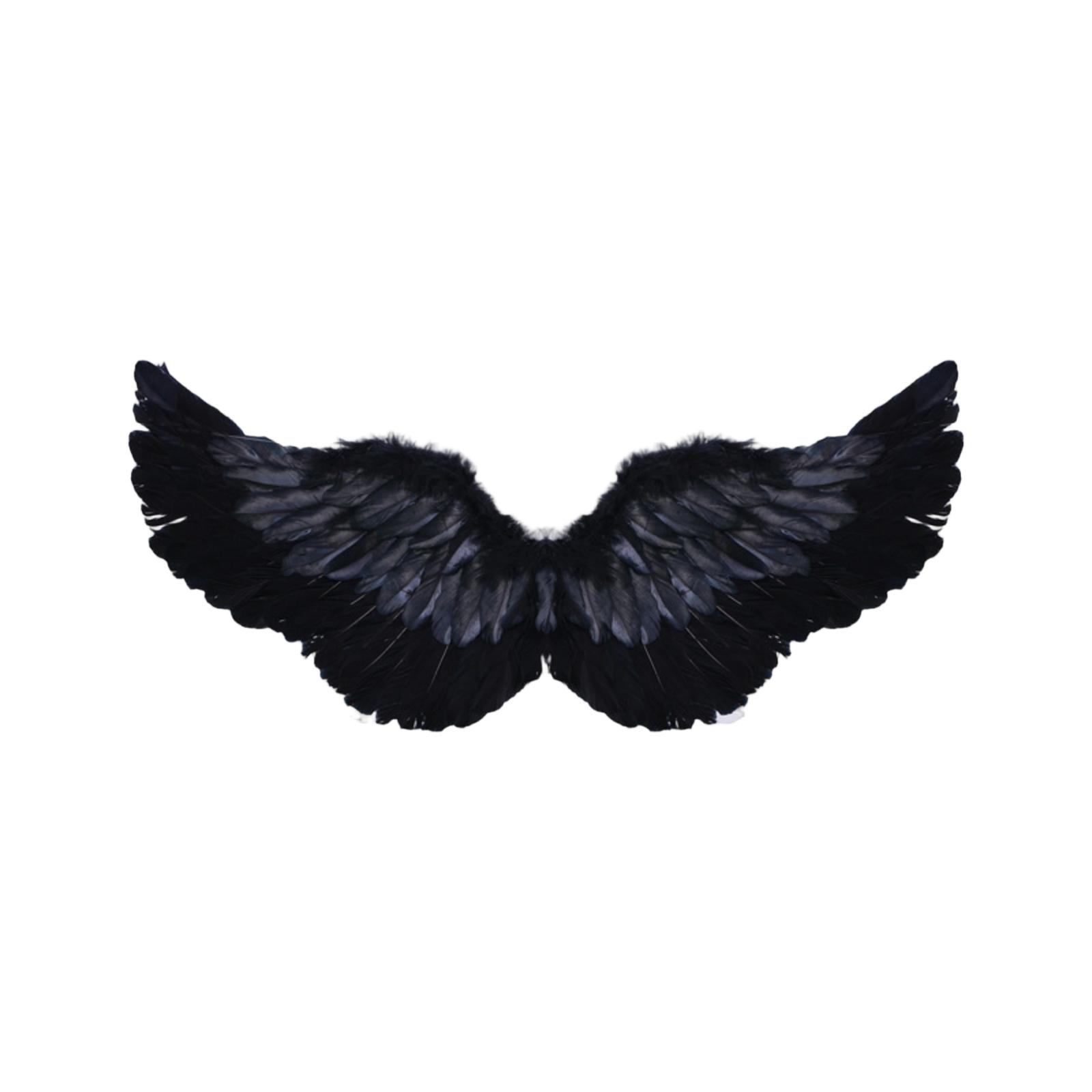 

Крылья костюма ангела, Аксессуары для карнавала или тематической вечеринки, Карнавальный костюм, Рождество One Size чёрный