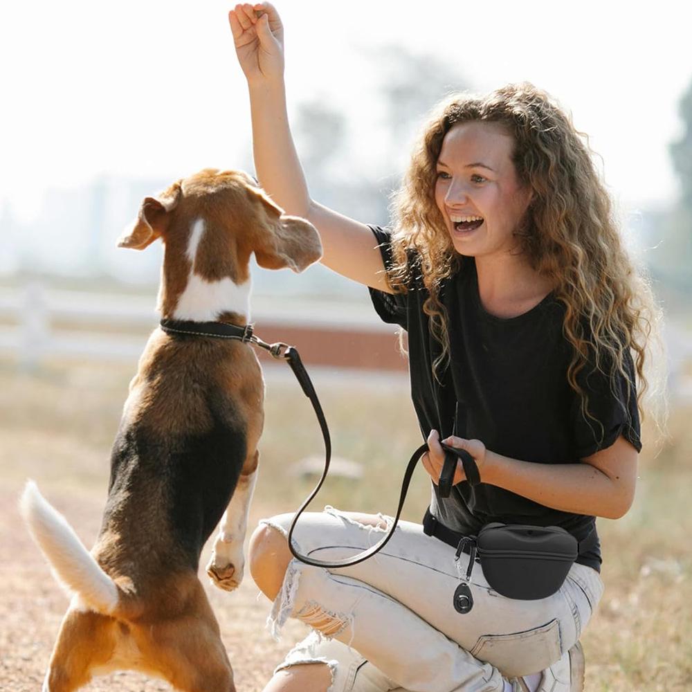 Silicone Dog Training Waist Bag: Portable Outdoor Crossbody Pet Treat Holder
