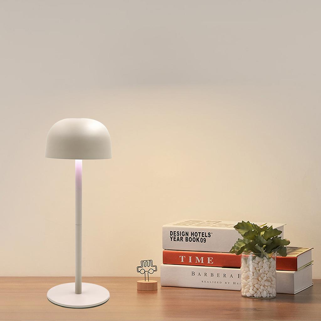 Cordless Table Lamp Rechargeable LED Desk Lamp Bedside Lamp with Detachable Lamp Pole Touch Control