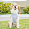 Cooling Pet Vest For Dog Cats Breathable Polyester Loose Fit Pet Clothing for Pet Outdoor Activity All Breeds Wear