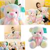Entzückendes Regenbogenbär Plüschtier Weicher Kuschelbär Stofftier Perfektes Geschenk