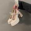 Platform French Mary Jane Women's Shoes 2025 New Spring Black High Heels Thick Heel with Skirt Single Shoes