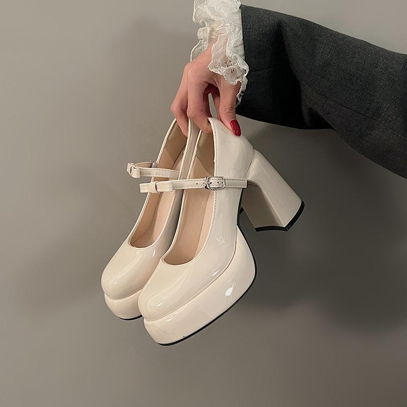 Platform French Mary Jane Women's Shoes 2025 New Spring Black High Heels Thick Heel with Skirt Single Shoes