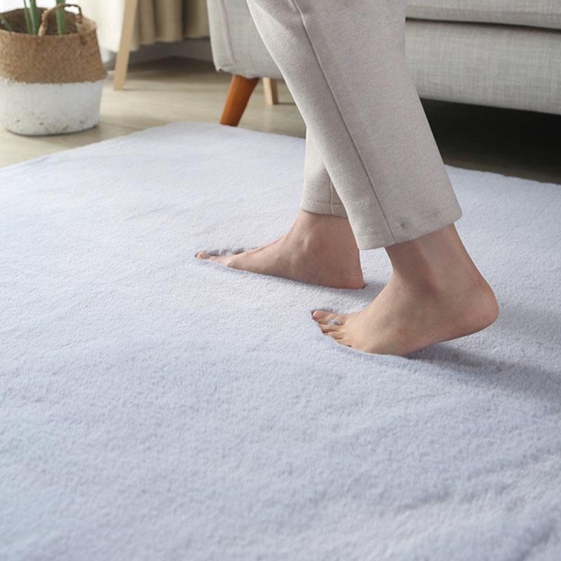 Instyle Thick Plush Imitation Rabbit Fur Carpet for Bedroom, Living Room, or Bay Window