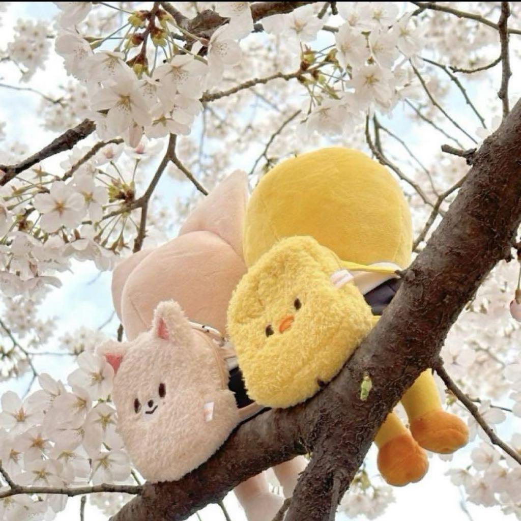 [USED] Stray Kids SKZOO Backpack Levit