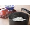 Ishigaki Delish Life Ceramic Rice Container, 1.5-cup capacity, Microwave-safe, Ceramic, for storing and reheating food, Product Code: 4588