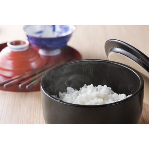 Ishigaki Delish Life Ceramic Rice Container, 1.5-cup capacity, Microwave-safe, Ceramic, for storing and reheating food, Product Code: 4588