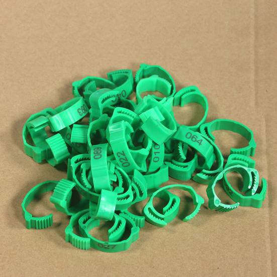 Yousheng 100Pcs Chicken Ring Adjustable Buckle Design Easy-assembled Duck Chicken Foot Ring for Marking