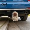 Abschlepphaken-Schutz 3D-gedeckter Capybara-Ball-Deckel, Dekorative Anhänger-Staub-Kupplungsabdeckung, 50mm Abschleppschutz, Wohnmobil-LKW-Zubehör Langlebige Kappe