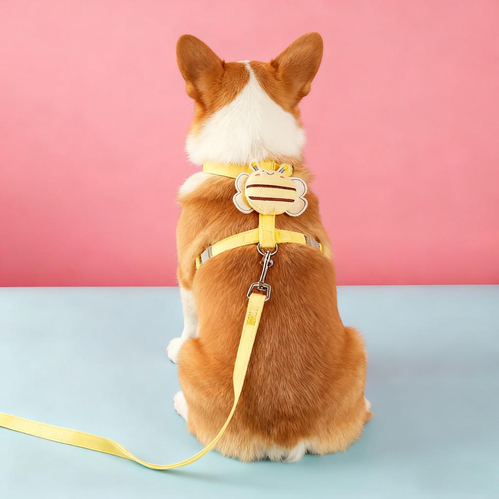 New Cute Bee Pet Backpack, Equipped with A Cat Leash To Preventescap Designedspecifically for Taking Cats and Dogs Out, Adjustable Sizesoft and Sturdy