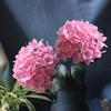 Artificial Flowers High Simulation Silk Hydrangeas Soft Touch Flexible Stems Realistic Maintenance-Free Fake Flower Arrangement Wedding Display Home